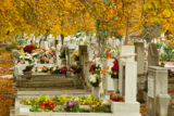 Mestský cintorín v Nitre