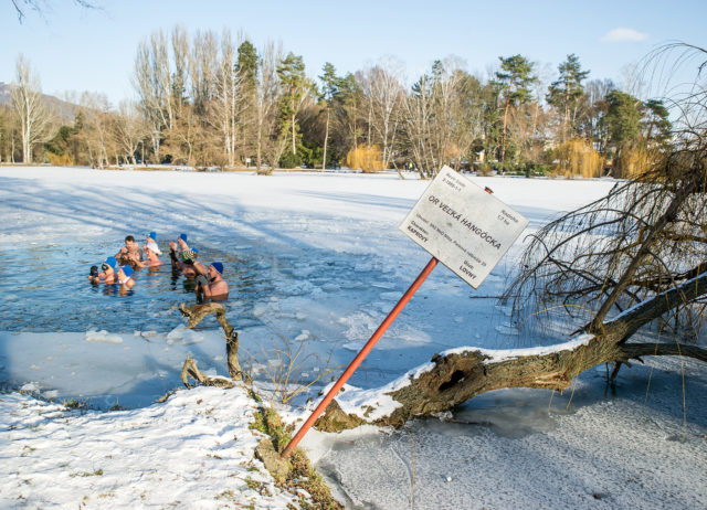 Otužovanie sa v zimnom období v jazere Veľká Hangócka v nitrianskom mestskom parku. Nitra, 17. január 2021. 