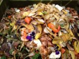 Bioodpad nádoba zber komunal odpad