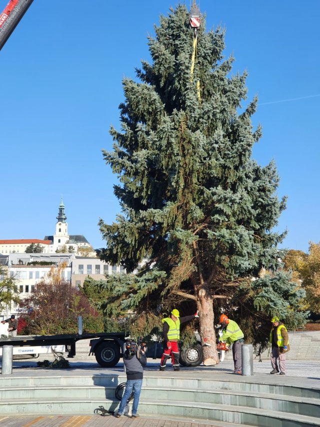 Vianočný stromček v Nitre