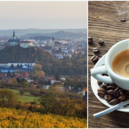 káva, Nitra