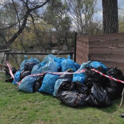 Pomoc ukrajina smeti park nitra 2.jpg