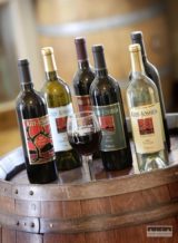 Spotrebná daň za ovocné víno je likvidačná, tvrdia výrobcovia