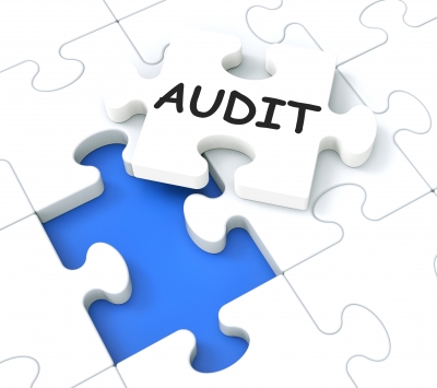 Audítori nesúhlasia so zvyšovaním hranice pre povinný audit