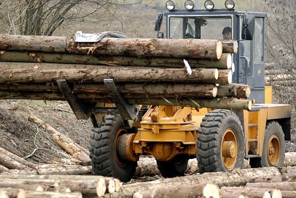 Lesy SR zastavili dodávky dreva firme Bukóza Export Import