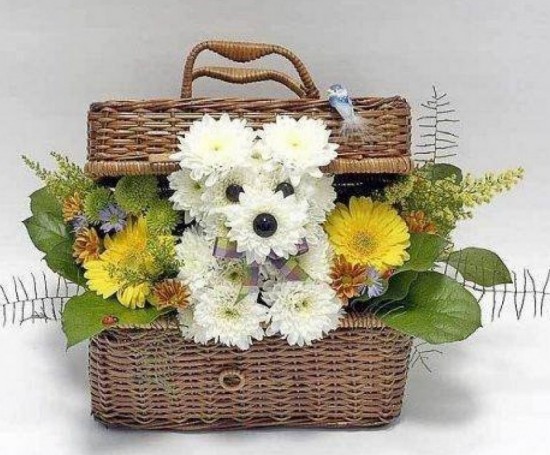 Puppy bouquet 8 550x455.jpg