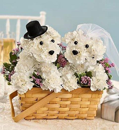 Puppy bouquets 1.jpg