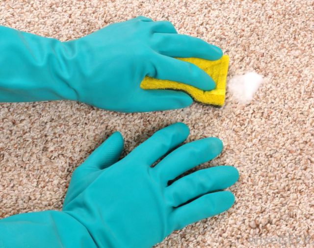 Spot cleaning carpet.jpg