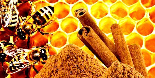 Benefits of honey and cinnamon2.jpg
