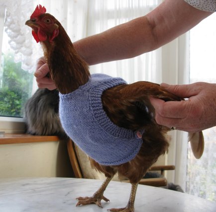 Fabartdiy knit chicken sweater2.jpg