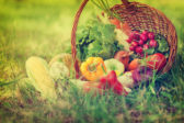 Basket With Fresh Organic Vegetables