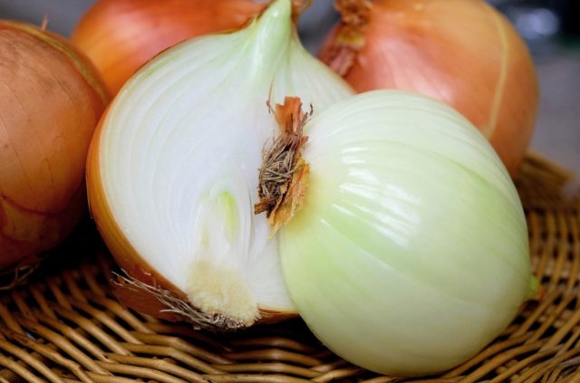 Onion 1.jpg