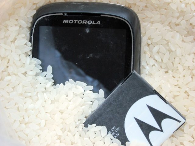 Motospice rice.jpg