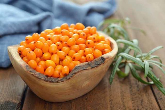 Sea buckthorn the superfood you’ve probably never heard of 3.jpg