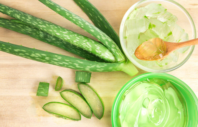 5. aloe vera and olive oil for stretch marks.jpg