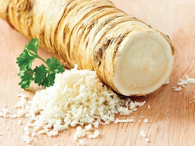 Useful properties of horseradish.jpg