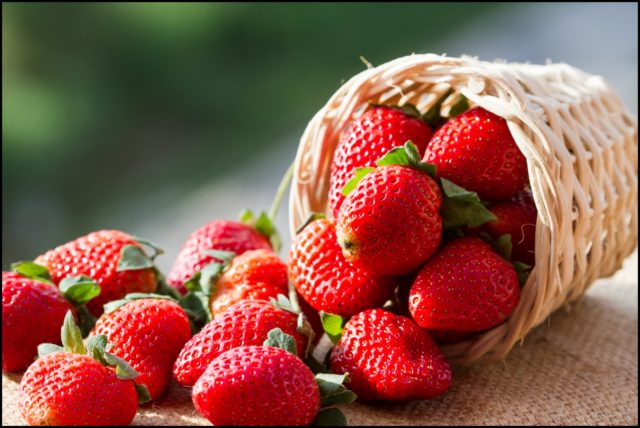 A small basket full of strawberries in natural background.jpg