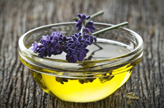 Olympic lavender oil.jpg