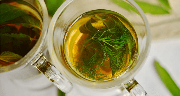 Disgusting remedies herb tea.png