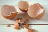 Eggshells.jpg