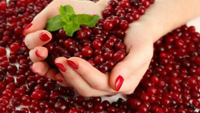 Benefits of cranberry.jpg