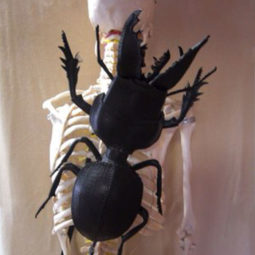 Amaheso creature inspired handbags black beetle.jpg