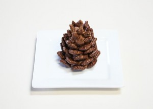 11-chocolate-pinecone-recipe-2