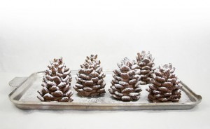 15-chocolate-pinecone-recipe-2