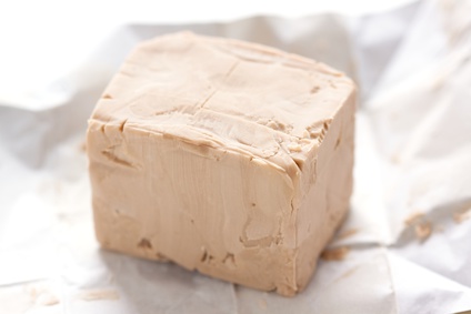 Block of fresh yeast in its wrapper