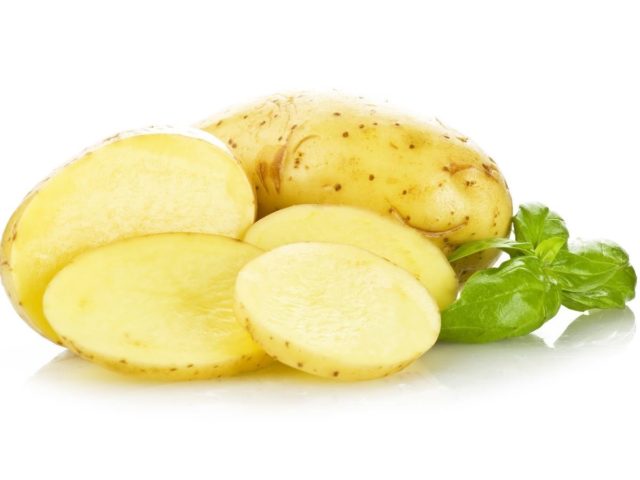 Potato2.jpg