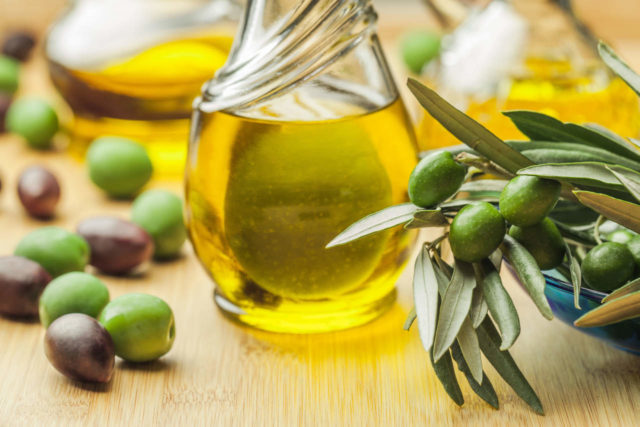 Olio di oliva e ramo ulivo.jpg