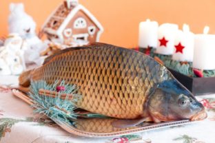 ryba, šitedrá večera, symbol Vianoc