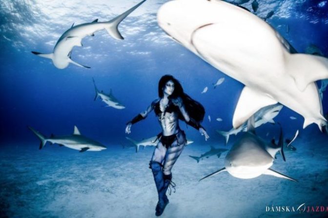 Tanec so smrťou: Aktivistka odhaľuje „ľudskú" tvár žralokov