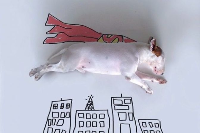 Mladík kreslí vtipné scény okolo svojho psa, zabáva internet