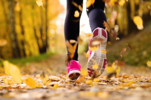Behať, behanie, jeseň, listy, tenisky, pohyb, zdravý životný štýl, beh
