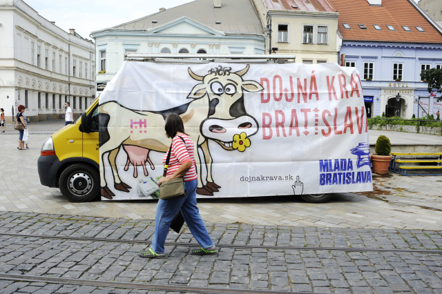 Mladá Bratislava, Dojná krava