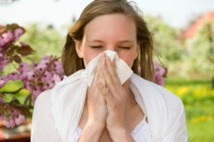 Nos, alergia, nádcha, kýchať, kapesník