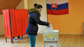 referendum, voľby