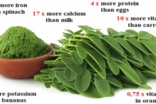 Breaking study this green herb could be the cure to 5 different types of cancer including ovarian liver lung and melanoma 696x371.jpg