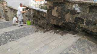 Zámocké schody, múrik, Bratislavský okrášľovací spolok