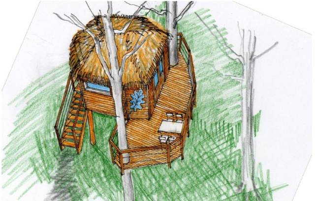 Novy domcek na strome mestske lesy.jpg