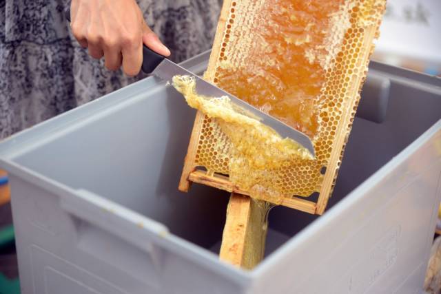 Vytáčanie mestského medu