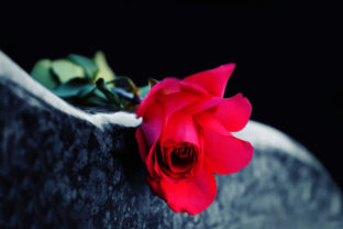 Ruža, smrť, náhrobný kameň