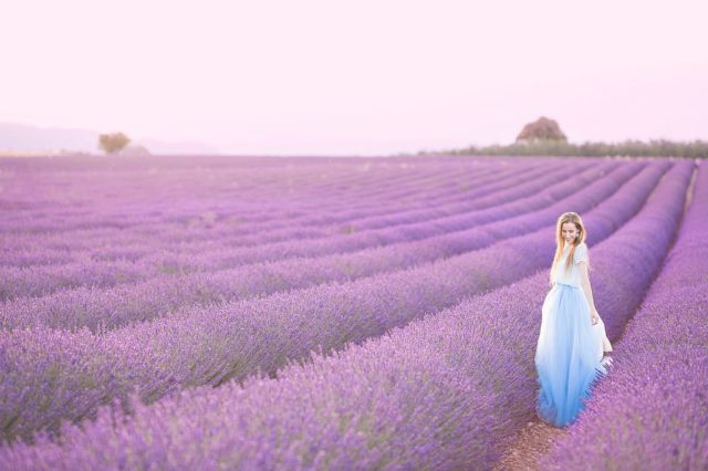 Provence_lavender_fields_photoshoot_4.jpg