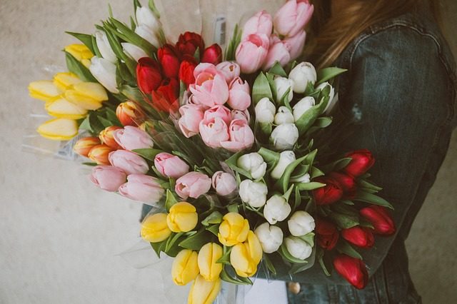 Tulipany pixabay.jpg