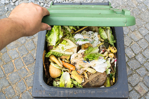 Household bio organic food waste in rubbish bin ready for recycling
