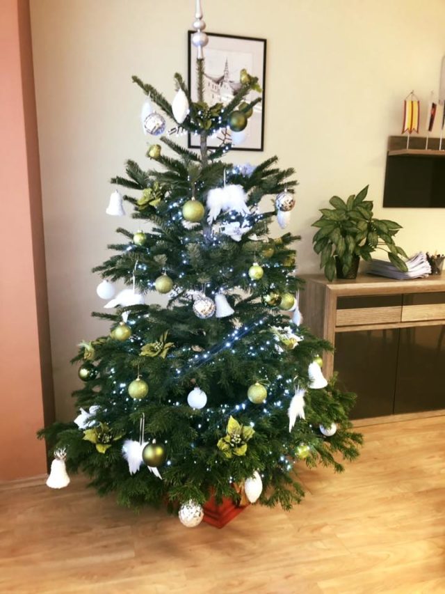 Vianočný stromček v kancelárii Martina Chrena