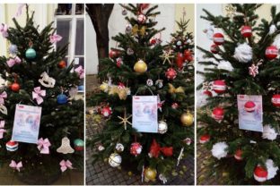 Súťaž o najkrajší vianočný stromček má víťaza: Pozrite sa, ktorý stromček bodoval