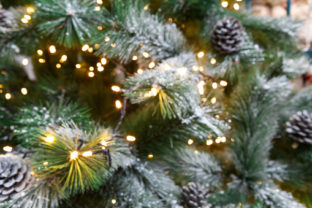 Vianocny stromcek v dubravke rozsvieti mikulas ilu gettyimages.jpg