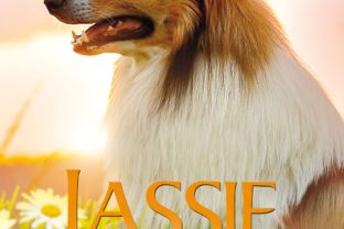 Lassie sa vracia_plagat.jpg